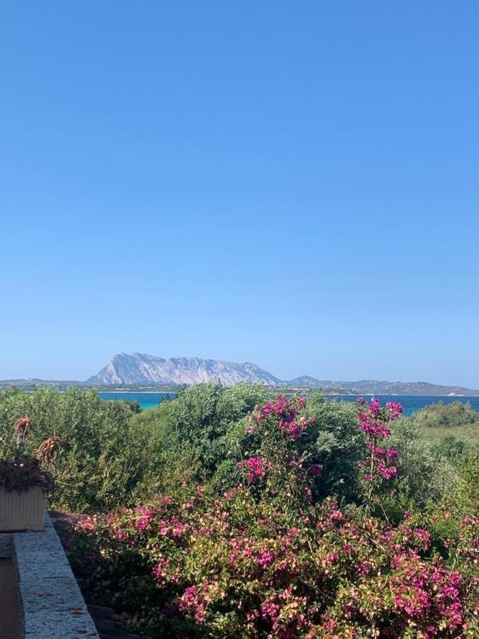 La Cinta San Teodoro (Sardinia) Exterior foto